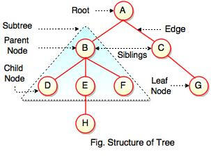 tree in data structure in Hindi