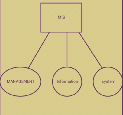 mis components in hindi.jpg MIS in hindi