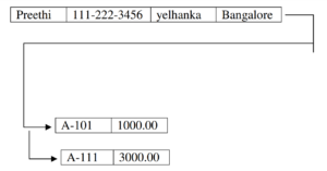 NETWORK MODEL IN HINDI