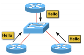 ospf packet in Hindi 