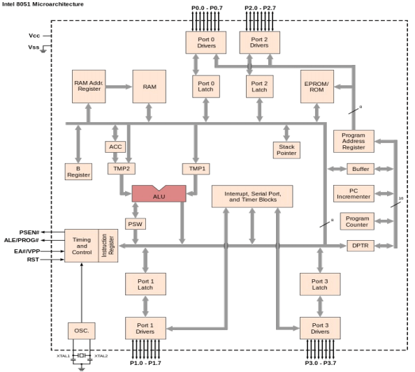 8051 Microcontroller architecture in Hindi