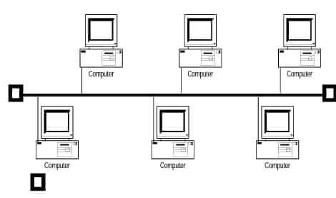 bus topology in Hindi network topology