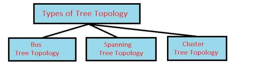 types of tree topology